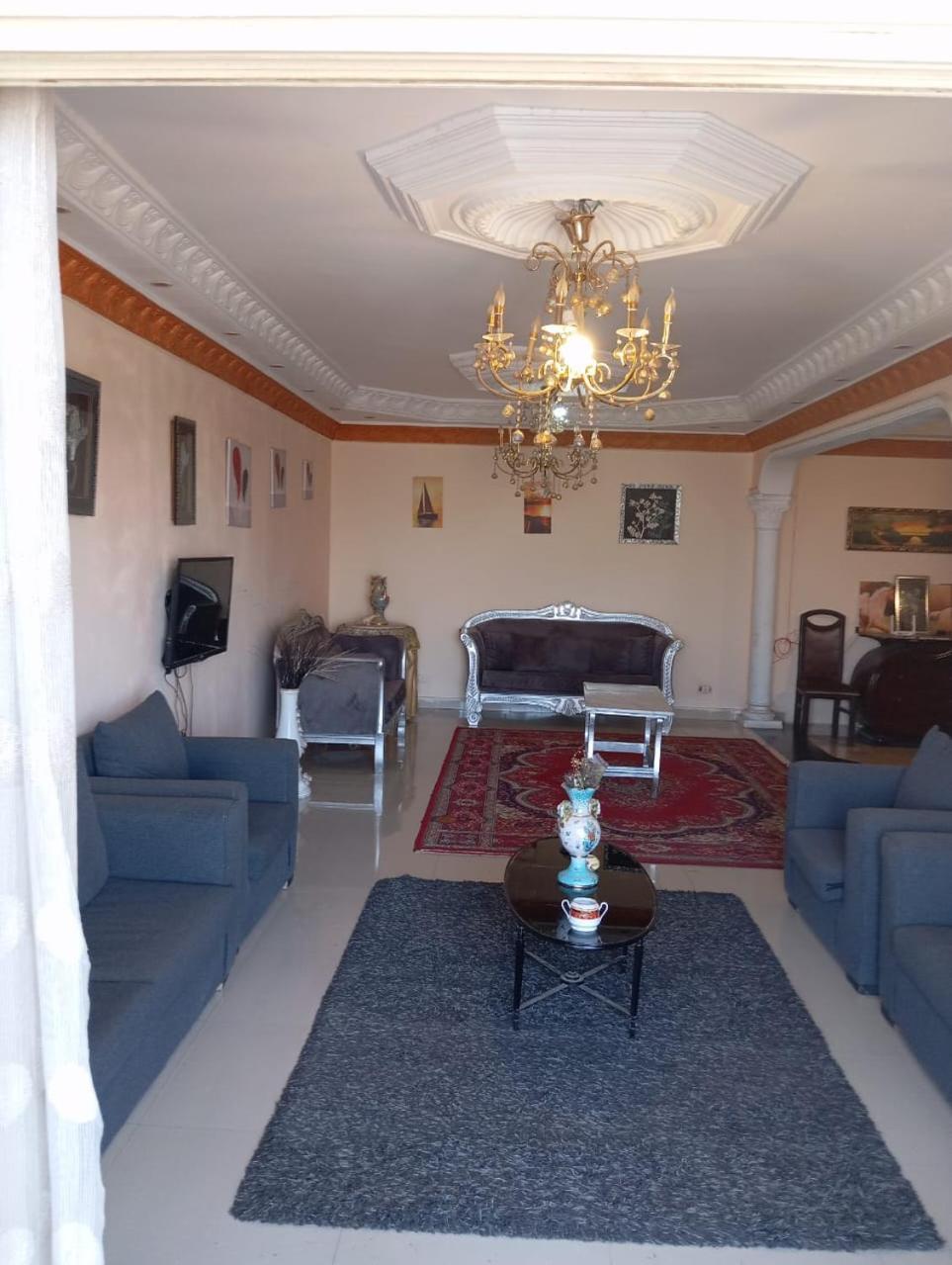 Entirely Furnished For Rent In Maadi Apartment Cairo
